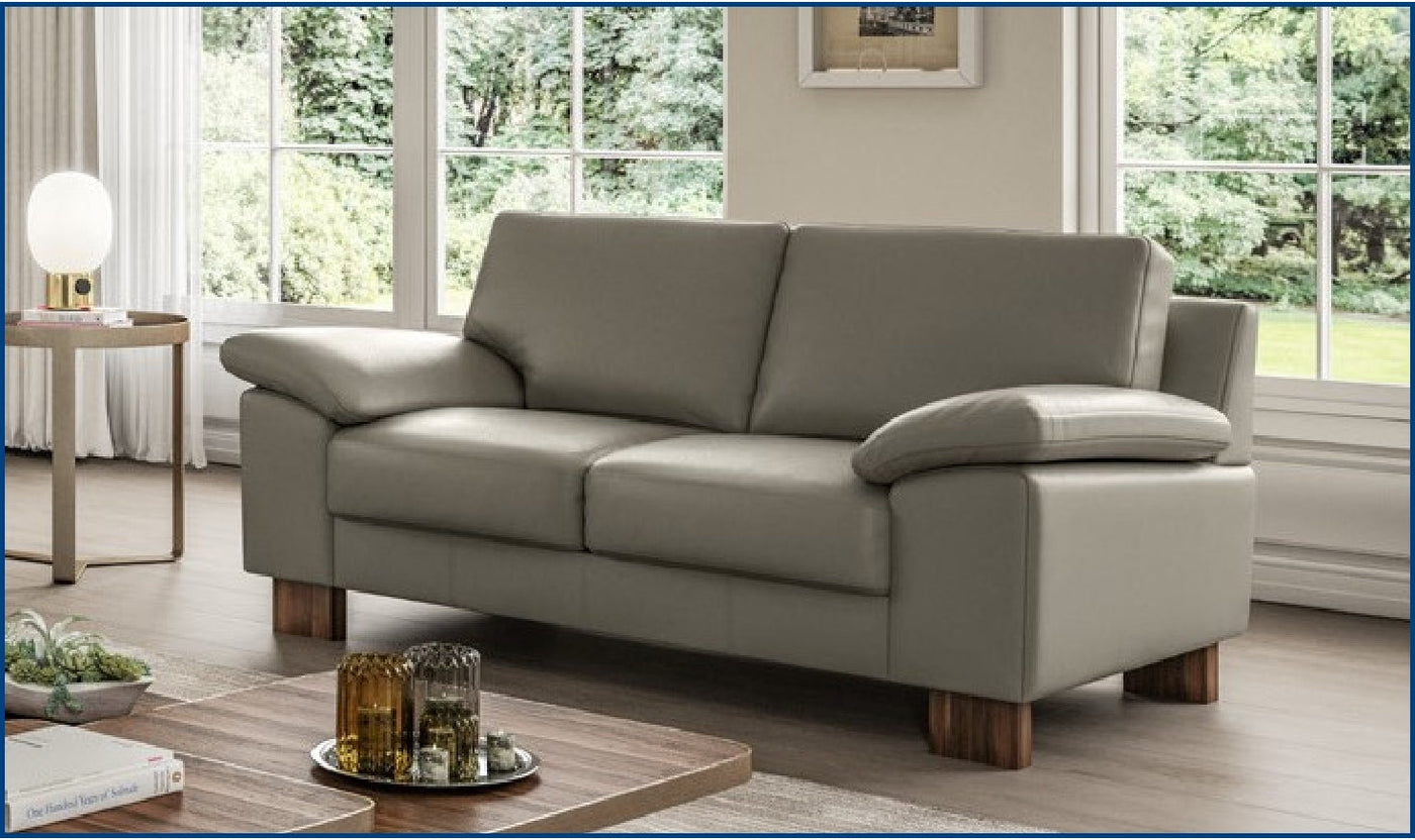 Poet Loveseat Sleeper-Sleeper Sofas-Jennifer Furniture