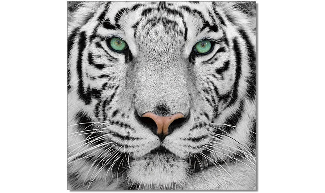 Wall Art Black and White Tiger-Wall Art-Jennifer Furniture